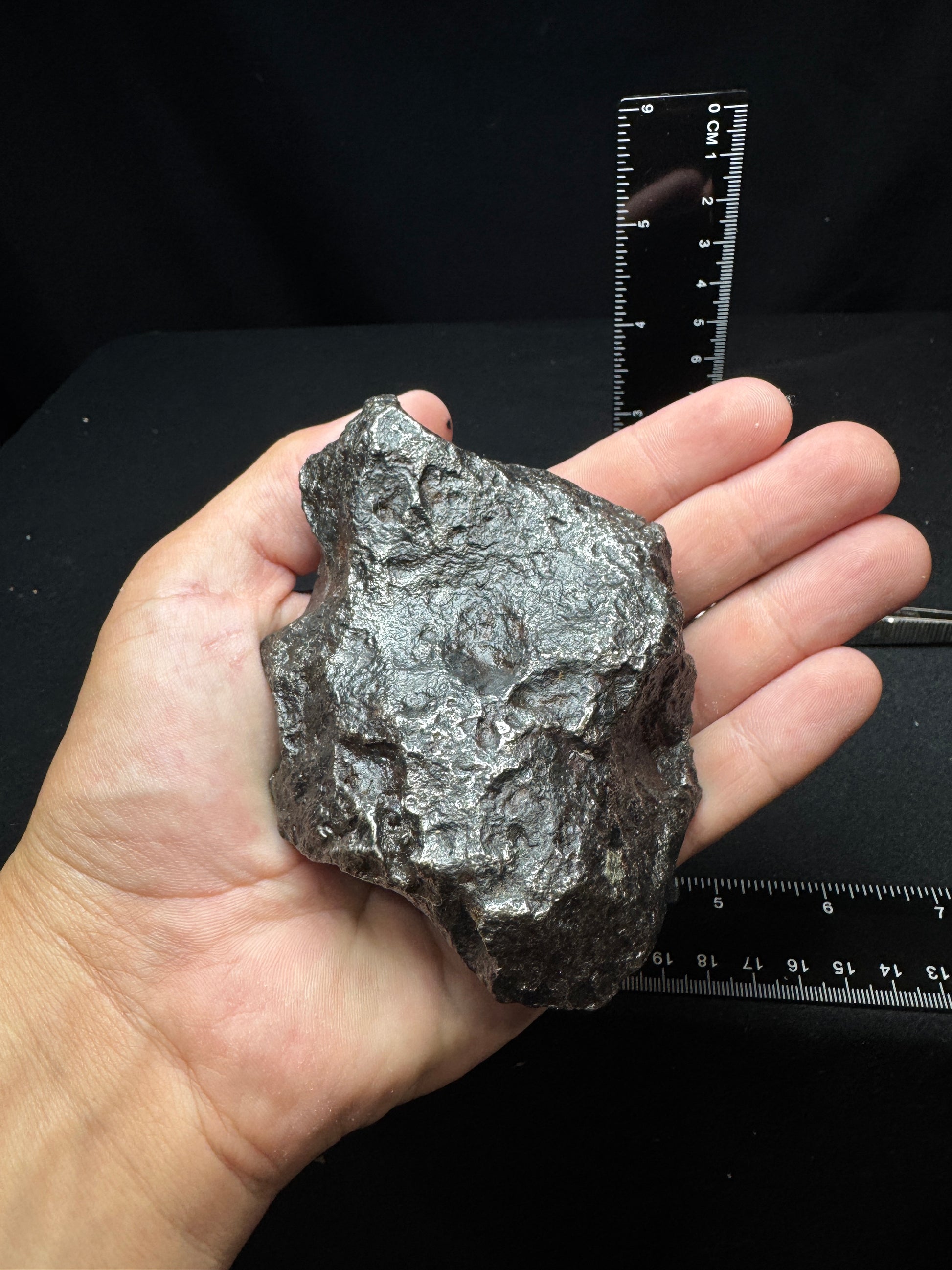 1022 Gram Campo Del Cielo Meteorite