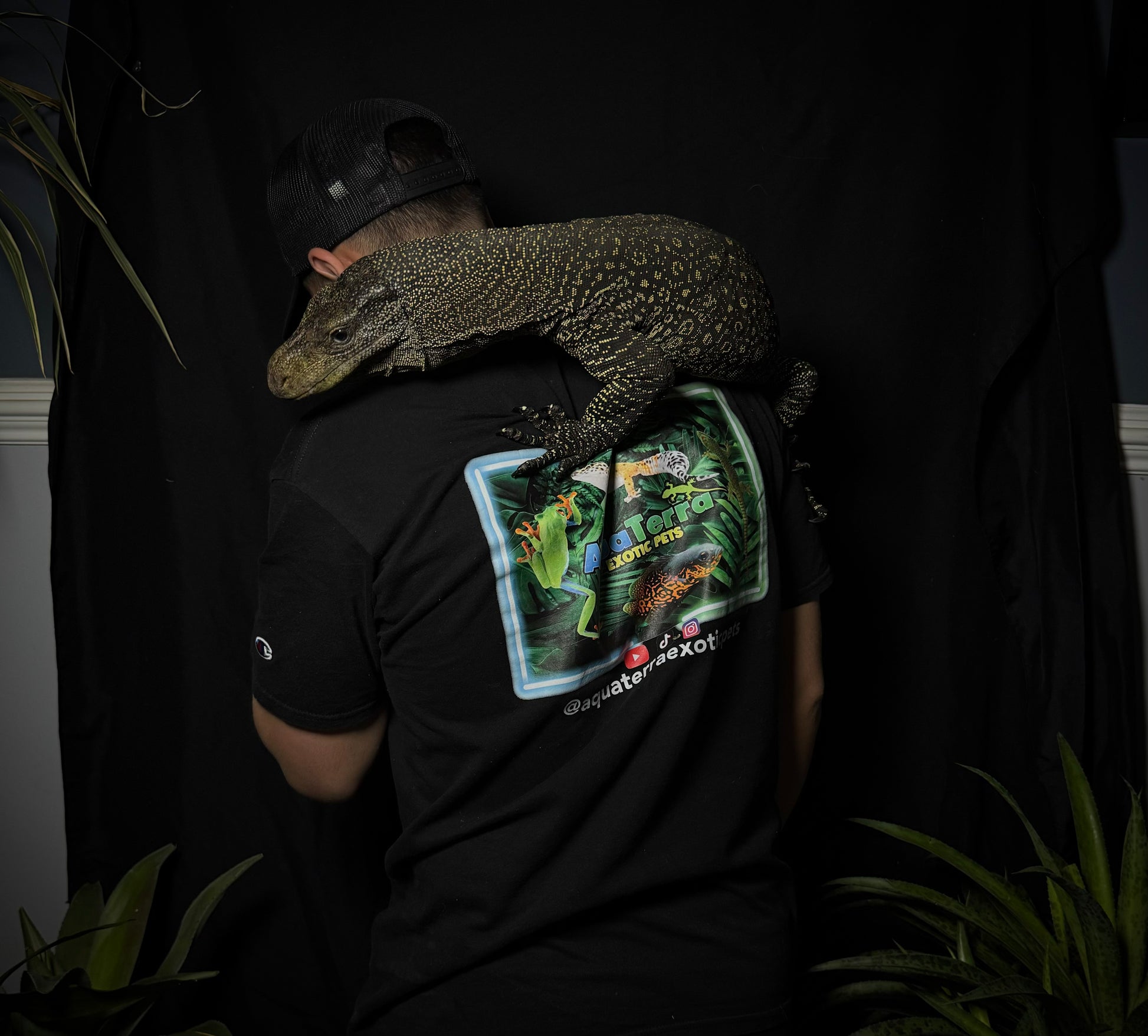Crocodile Monitor (Varanus salvadorii)